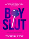 Cover image for Boyslut